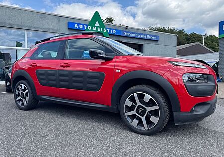 Citroën C4 Cactus Feel Panorama