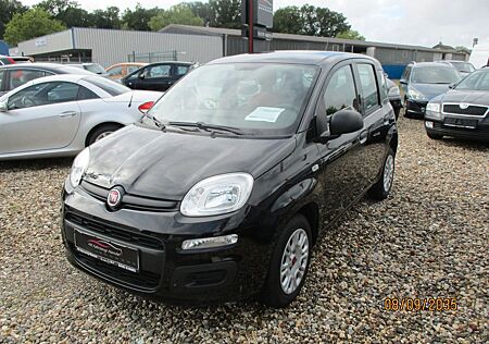 Fiat Panda Easy