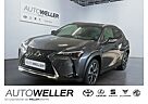 Lexus UX 250h Style Edition *CarPlay*Kamera*Totwinkel*