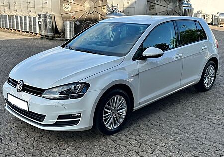 VW Golf Volkswagen 7 1.6 TDI BMT CUP CUP