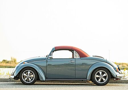 VW Käfer Volkswagen