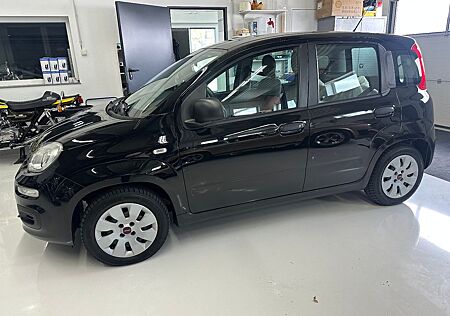 Fiat Panda Pop Klima 1 Hand
