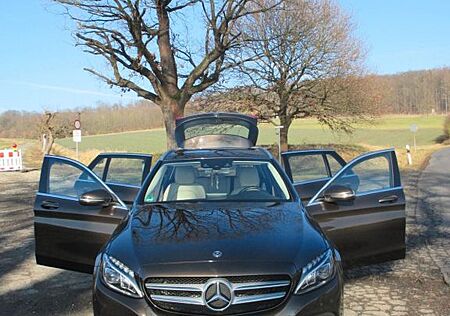 Mercedes-Benz C 250 d T Autom.