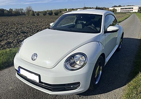 VW Beetle Volkswagen 1.2 TSI CUP CUP, Klima, TÜV NEU,Service N