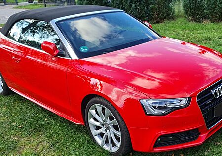 Audi A5 3.0 TDI quattro Cabriolet,Standheizung!