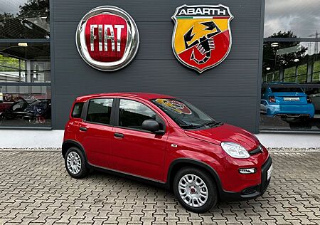 Fiat Panda Hybrid MY24 +EINPARKHILFE+KLIMA+BLUETOOTH+