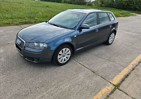 Audi A3 2.0 TDI (DPF) Ambition Sportback 8x Bereifung