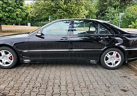 Mercedes-Benz S 500 L - larinser