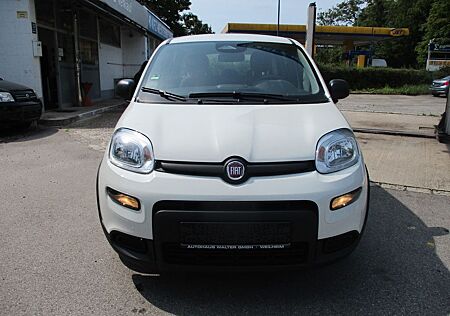 Fiat Panda Pandina
