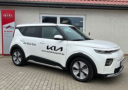 Kia Soul E- 204 SPI SUV WP LED GD