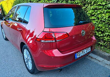 VW Golf Volkswagen 1.6 TDI BMT Trendline Trendline