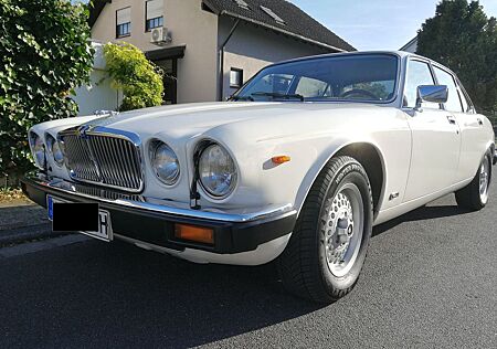 Jaguar XJ12 super Zustand
