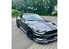 Ford Mustang 5.0 V8 GT Cabrio GT350 Shelby Style