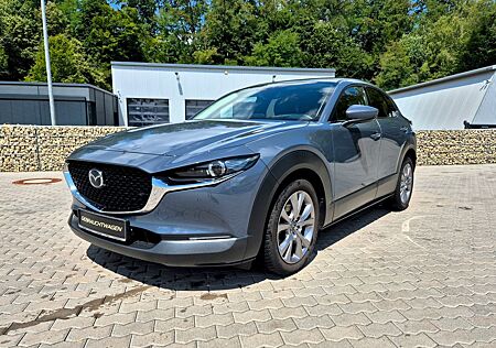 Mazda CX-3 CX-30 Selection, Bose, LED Scheinw., Kamera