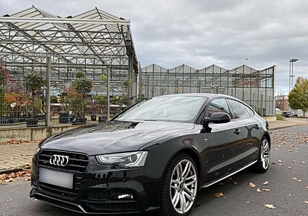 Audi A5 gebraucht kaufen Audi A5 3.0 TDI Quattro Sportback