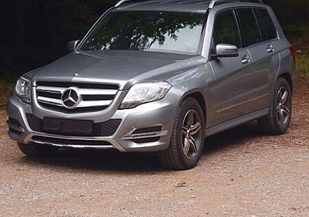 Mercedes-Benz GLK 220 CDI 4MATIC BlueEFFICIENCY -