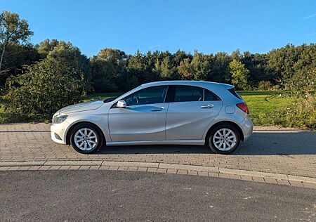 Mercedes-Benz A 180 gebraucht kaufen Mercedes-Benz A 180 CDI Style Style
