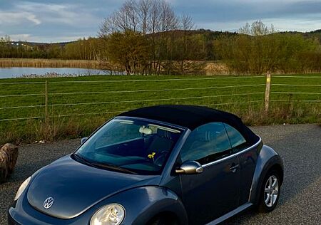 VW New Beetle Volkswagen Cabrio 1.6 | Top Zustand