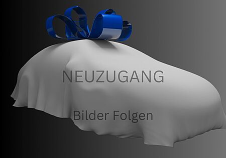 Mercedes-Benz Citan Kasten 111 CDI Lang /KLIMA/ PDC/BT /HU:NEU