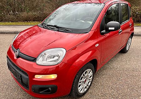 Fiat Panda Easy CiTY 1,2 8V 1.Hand KLIMA 60 TKM