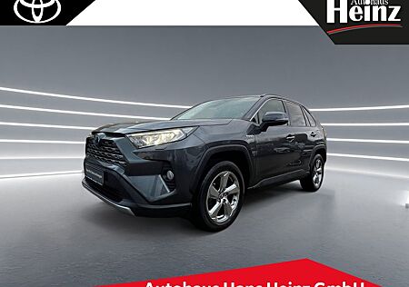 Toyota RAV 4 RAV4 2.5l Hybrid 5-Türer Team Deutschland FLA