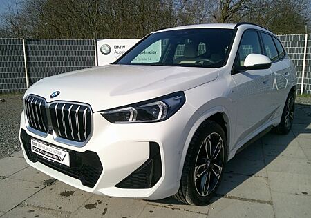 BMW X1 sDrive20i MSport AHK Driv.Assis.Prof HUD LED