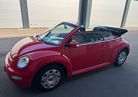 VW Beetle Volkswagen