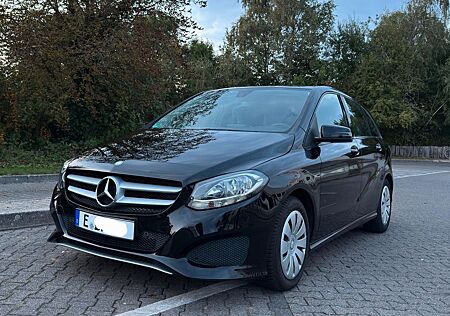 Mercedes-Benz B 200 B200 D Facelift LED SHZ Allwetter