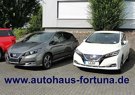 Nissan Leaf Tekna e+ 62kwh Leder Bose LED Winterpaket
