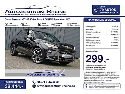 Cupra Terramar VZ 265 4D 299,-€ Mtl Pano ACC RFK Sennh