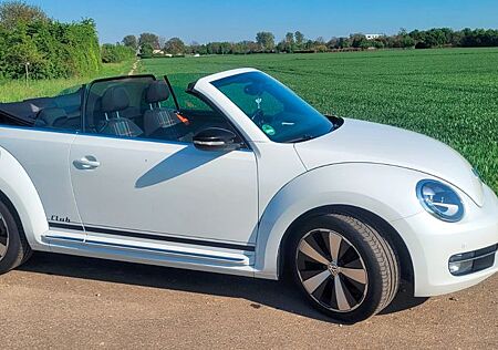 VW Beetle Volkswagen 2.0 TDI 81kW DSG BMT CLUB Cabriolet CLUB