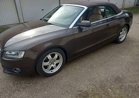 Audi Cabriolet A 5 CABRIO AUTOMATIK-VOLLAUSTATTUNG-TOP