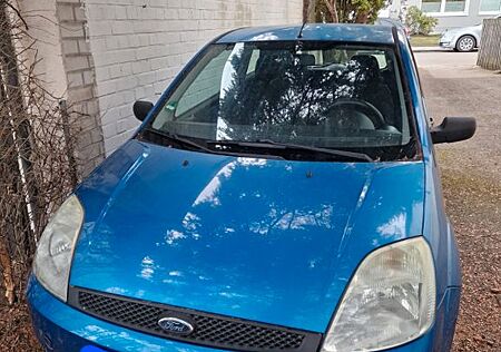 Ford Fiesta Viva X