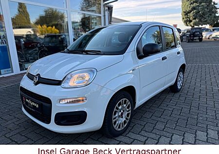 Fiat Panda | Klima | 1.Hand | PDC