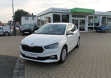 Skoda Fabia 1.0l MPI Selection PDC/SHZ/DAB