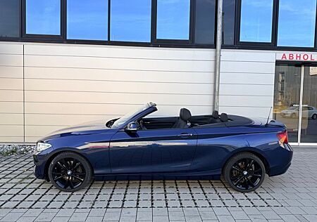 BMW 220i Cabrio Leder/Xenon/PDC/Navi
