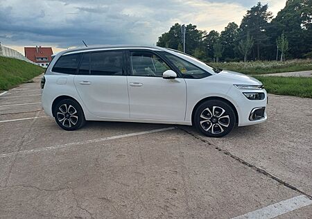 Citroën C4 Spacetourer BlueHDi 130 Stop&Start SHINE ...