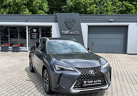 Lexus UX 250 h Style.LED.ACC.Kamera.