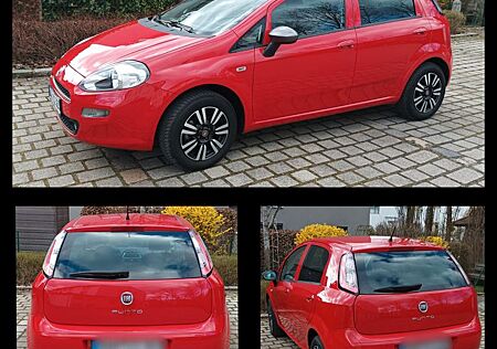 Fiat Punto Young 1.2 8V 69 PS 43.420 km TÜV/HU Neu