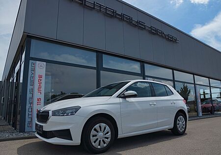 Skoda Fabia Amb. 95PS Klima!SHZ!M-LK!LED!BT!