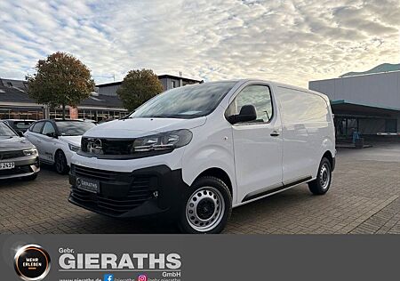Opel Vivaro 2.0 Diesel (106 kW 145 PS) AHK Apple CarP