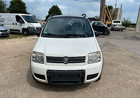 Fiat Panda 1.2 8V Climbing 4X4