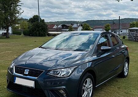Seat Ibiza | Top-Ausstattung | 8-fach bereift