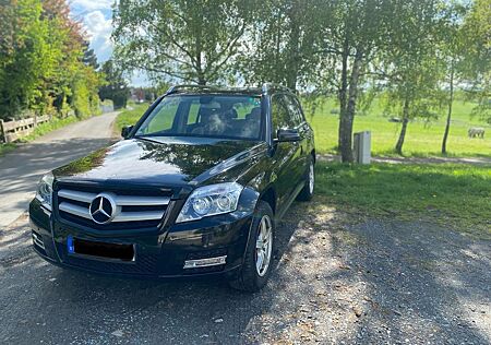 Mercedes-Benz GLK 200 CDI BlueEFFICIENCY -