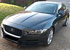 Jaguar XE 20d 180PS Prestige Automatik Meridian