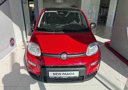 Fiat Panda Pandina Cross