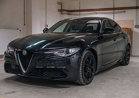 Alfa Romeo Giulia 2.0 Turbo*CAM*Leder