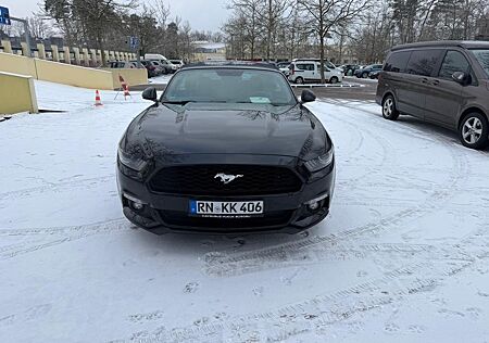 Ford Mustang Basis Convertible