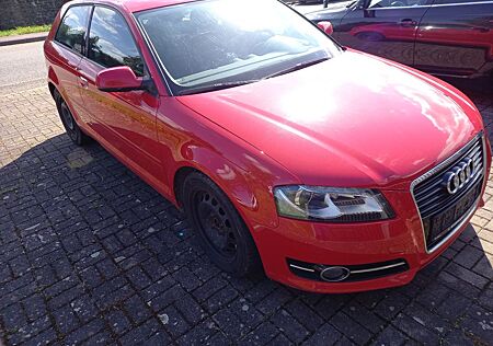 Audi A3 1.6 TDI (DPF) 77kW Ambiente Ambiente