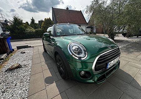 Mini Cooper Cabrio Cooper John Cooper Works Trimm